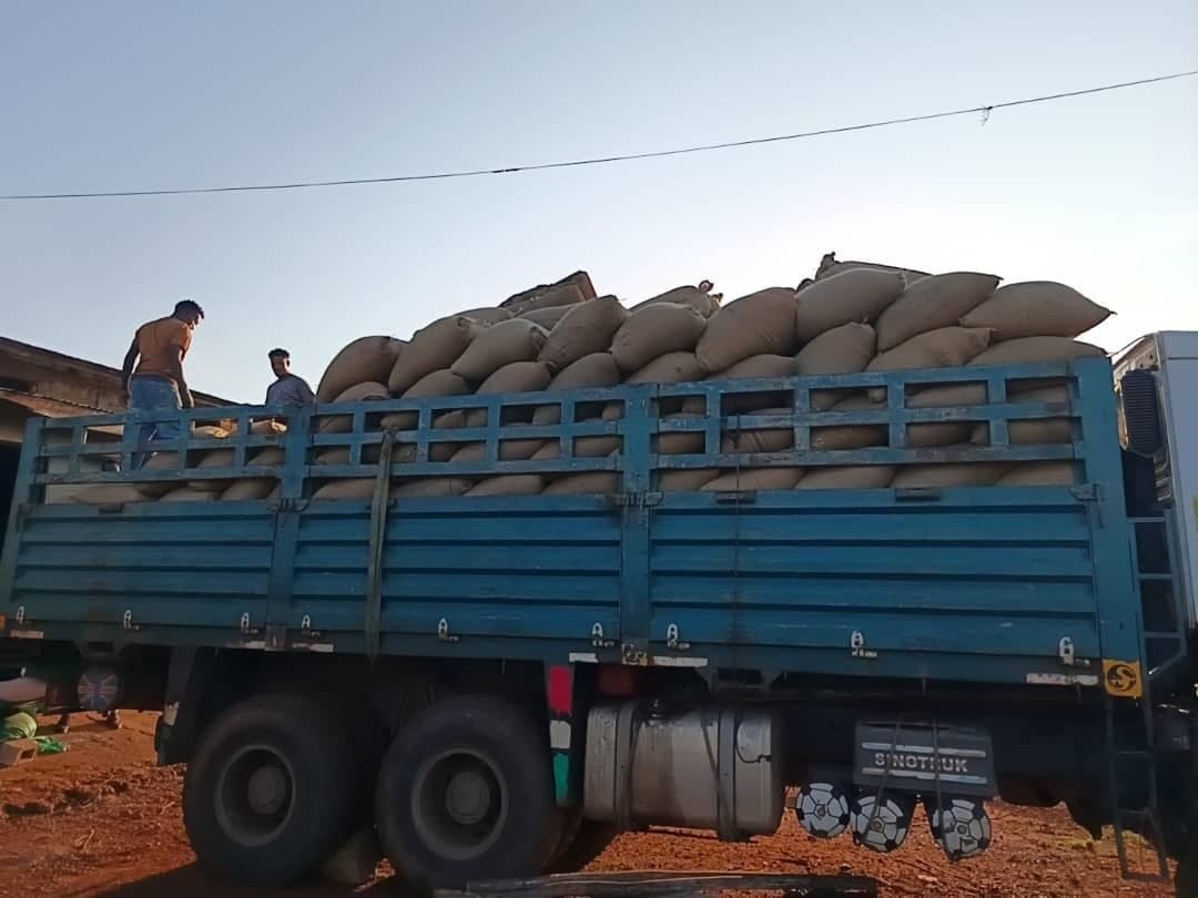 Coffee export logistics operations
