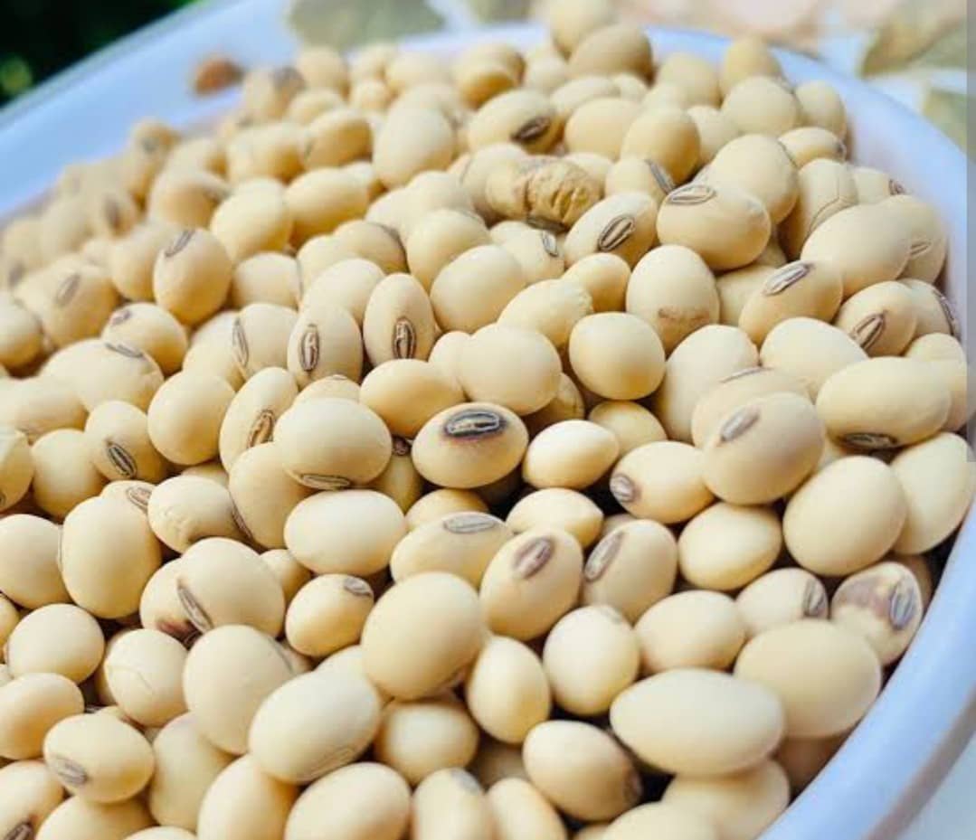 Oilseeds and grains