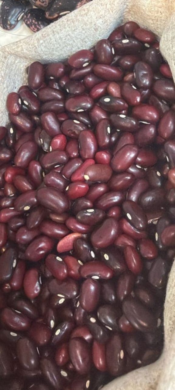 Premium red beans