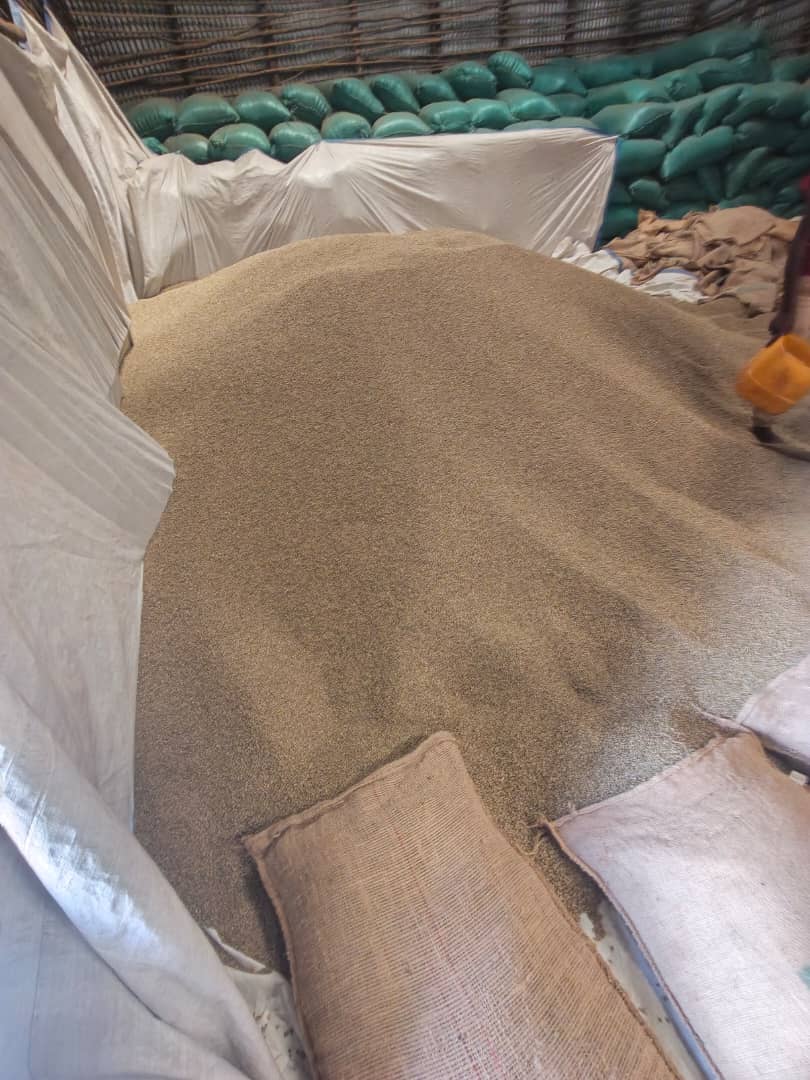 Teff Grain