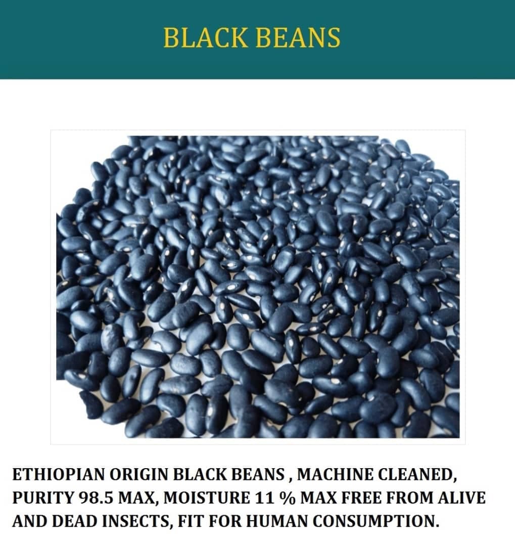 Black Beans