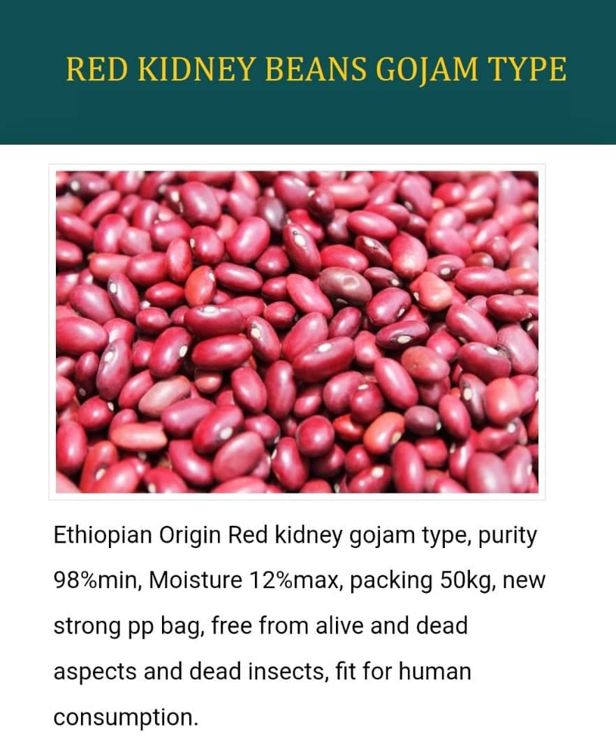 Red Kidney Beans - Gojam Type