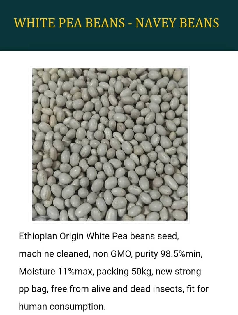 White Pea Beans - Navy Beans