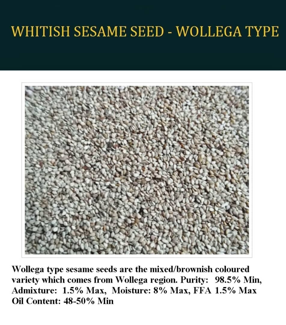 Sesame Seeds - Wollega Type